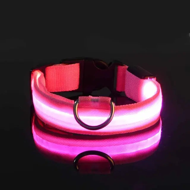 “GlowSafe™ LED Dog Collar – USB Rechargeable & Adjustable”