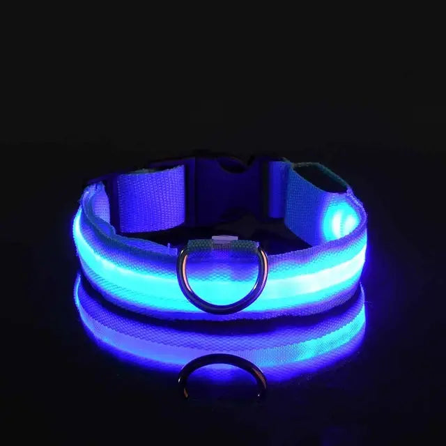 “GlowSafe™ LED Dog Collar – USB Rechargeable & Adjustable”