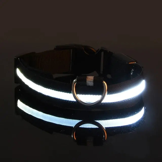 “GlowSafe™ LED Dog Collar – USB Rechargeable & Adjustable”