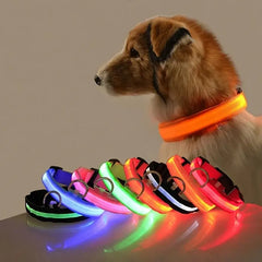 “GlowSafe™ LED Dog Collar – USB Rechargeable & Adjustable”