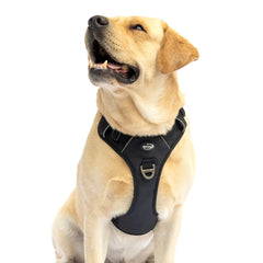 No Pull Harness for Small Dogs Lightweight & Adjustable