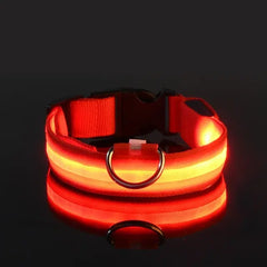 “GlowSafe™ LED Dog Collar – USB Rechargeable & Adjustable”