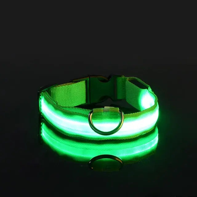 “GlowSafe™ LED Dog Collar – USB Rechargeable & Adjustable”